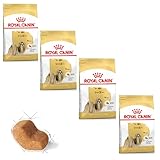 ロイヤルカナン bhn シーズー 成犬・高齢犬用 1.5kg×4個セット ニューパッケージ