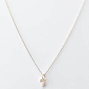 Amazon アガット Agete K10イニシャルネックレス ホワイト 08 フリー ネックレス 通販