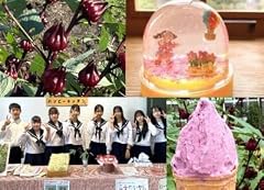 デンパーク入園券2枚+ローゼルジェラート引換券2枚+スノードーム作り体験券1枚/愛知県安城市