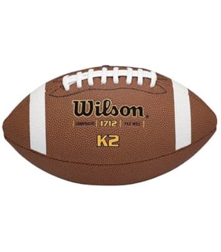 Amazon.co.jp: Wilson 公式サイズ コンポジットフットボール One