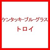 【種 3kg】 ケンタッキーブルーグラス トロイ 緑化用 芝生用 緑肥 [播種期：4～10月] 雪印種苗 米S代不