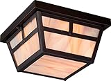 Nuvo Lighting 60/5676 Tanner Flush 2 Light 60-watt A19 Outdoor Close To Ceiling Porch and Patio Ligh