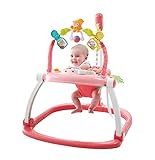 Fisher-Price Floral Confetti SpaceSaver Jumperoo by Fisher-Price