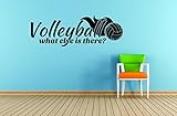 Design with Vinyl RAD 909 3 Volleyball What Else Is There Sport Quote Boy Girl Teen Bedroom Wall Dec