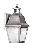 Livex Lighting 2550-29 Outdoor Wall Lantern with Seeded Glass Shades, Vintage Pewter [並行輸入品]