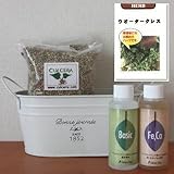 ウォータークレスの栽培セット/豊作セット（液体肥料付き）プランターホワイト仕様