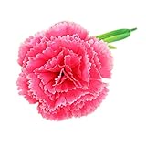 手作りカーネーションシミュレーション3本セット人工花、ローズレッド