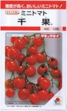 【種子】ミニトマト　千果（ちか） 約12粒