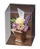 Paseo クリアケース入り プリザーブドフラワー 偲 ~しのぶ~ 15×15×H20cm M-27