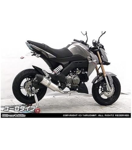 Amazon | Aodonly Racing ローマウント排気ステンレススチールブルー