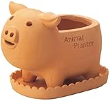 GREEN HOUSE Animal Terracotta Sサイズ ブタ 2544-A