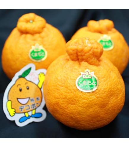 Amazon.co.jp: 【 紅まどんな 】高級化粧箱 約3kg 秀品 糖度：約14度