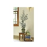 人工観葉植物 インテリアグリーン 光触媒加工（約106ｃｍ）　ＨＨｈｈオリーブツリーグラスバケットＬ