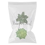 GRALARA2本セット　お買い得　造花　シミュレーション　多肉植物　プラスチック製　1本のクワズイモと1本の三字タワー植物