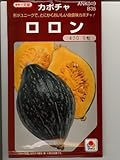 カボチャ　　ロロン　タキイ交配　　（グリーンデポ）