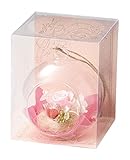 Paseo クリアケース入り プリザーブドフラワー ハンギングフラワー ピンク 10.5×10.5×H13cm S-18A-PK