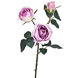 ローズスプレーX3 FXFR0008LAV