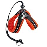 Tre Ponti トレポンティ リベルタ ハーネス Liberta 小型犬 (2号/体重4～5kg/胴回り31～41) (2号/体重4～5kg/胴回り31～41, オレンジ)