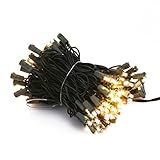 Excelvan Outdoor String Light 100LEDs Christmas Fairy Lighting Decoration light (33Ft Warm White) [並