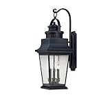 Savoy House 5-3550-25 Outdoor Sconce with Clear Seeded Shades, Slate Finish [並行輸入品]