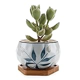 T4U 11CM 陶器鉢 和風-葦 多肉植物 サボテン鉢 植木鉢 竹製トレイ付き