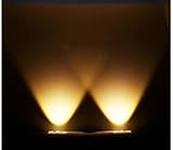 RaiFu 現代ウォールライトツインウォールライト アルミニウム ウォールランプ バックドロップライト コールドホワイト ウォームホワイト