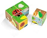 JANOD キューブ・ガーデン