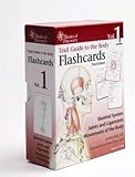 Cover of Trail Guide to the Body Flashcards Volume 1