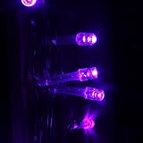 RaiFu ストリングライト パープル バッテリー駆動 LED 家庭用 結婚式 誕生日 クリスマスパーティー 新年装飾用 3M