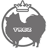 14色 愛犬名 or 犬種名入り 日本スピッツ ステッカー DOG ON BOARD【DOG IN CAR 愛犬 ワンコ 名入れ ネーム ドッグ 犬 車 日本 スピッツ カーサイン　名前 名前入れ】 