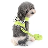 Ranphy レザー 革 ハーネス 胴輪 小型犬 子犬 猫用 リード セット ドット柄 蝶結び 可愛い 散歩用 出かけ用 調節可能 通気性が抜群 3色 (グリーン,S)