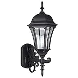 Sunset Lighting F7857-62 Outdoor Wall Sconce with Clear Beveled Glass, Rubbed Bronze Finish [並行輸入品]