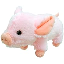 412ok1nSDjL._AC_UL210_SR210,