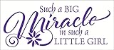 Wall Decor Plus More WDPM2714 Such A Big Miracle In Such A Little Girl Wall Sticker Decal, 23-Inch x