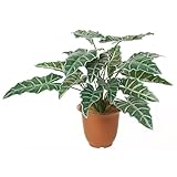 アロカシアブッシュx5【造花・アートフラワー】