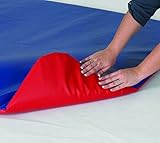 Play Zone Floor Mat in Red/Blue by Children's Factory [並行輸入品]