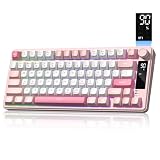 Womier DK75 ゲーミングキーボード ワイヤレス 静音キー 75％キーボード RGBトライモード（有線/BT/2.4GHz) 多機能ノブと ディスプレイ付き Windows/Mac用
