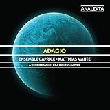 Adagio: A Consideration of a Serious Matter