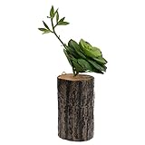 Baoblade Baoblaze 木製の人工的な多肉植物の切り株リビングルームの壁の装飾 - 5