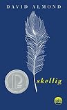 Skellig Skellig