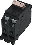 Cutler Hammer CH290 Circuit Breaker, 2-Pole 90-Amp by Cutler Hammer [並行輸入品]