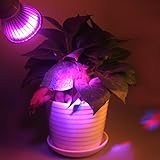ALED LIGHT　PAR20-5W　E27 　植物ライト　植物育成用LED電球 植物育成ライト　観賞用植物育成LEDライト 小型スポットライト 水耕栽培　 2つの波長（630nm/475nm）　黒