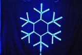 Queens of Christmas LED-SFLAKE17-BL Rope Light with Artificial Snowflake, 17, Blue by Queens of Chri