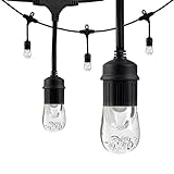 Enbrighten Café LED String Lights (18 ft.), 9 Lifetime Bulbs, Premium, Weatherproof, Shatterproof, C