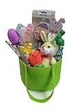 Pastel Green Easter Basket with Cute Stuffed Bunny [並行輸入品]