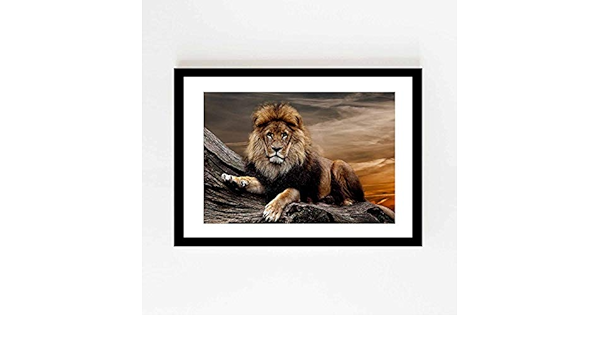 Amazon Co Jp ライオン捕食者動物動物ポスター壁画ネコアートプリントクリエイティブ装飾ライオントラは額縁30x25cm ホーム キッチン