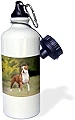 Dogs Pitbull - American Pit Bull Terrier Puppy - Water Bottles