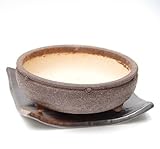 盆栽鉢　信楽焼鉢　茶　直径１８．５ｃｍ鉢底ネット付・焼締下皿（２０ｃｍ）セット