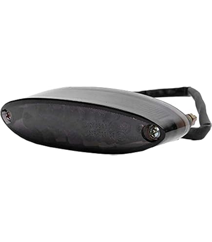 Amazon | フロムネイバー GSX750E/GSX1100E/ベコ用LEDテールユニット