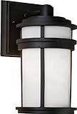 Artcraft Lighting Columbia Large Outdoor Wall Sconce Light, Black [並行輸入品]